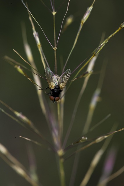 sesión de acompañamiento práctico con notas claras